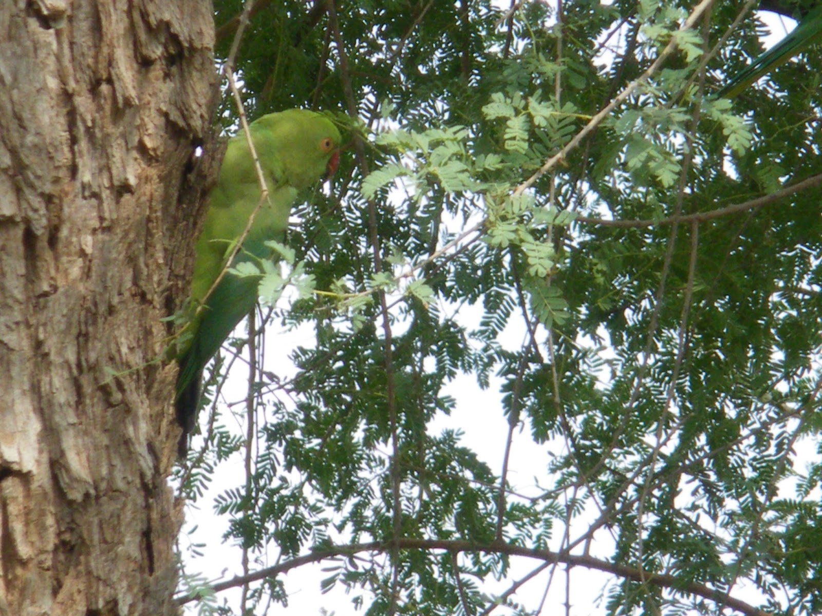 site de rencontre femme de couleur