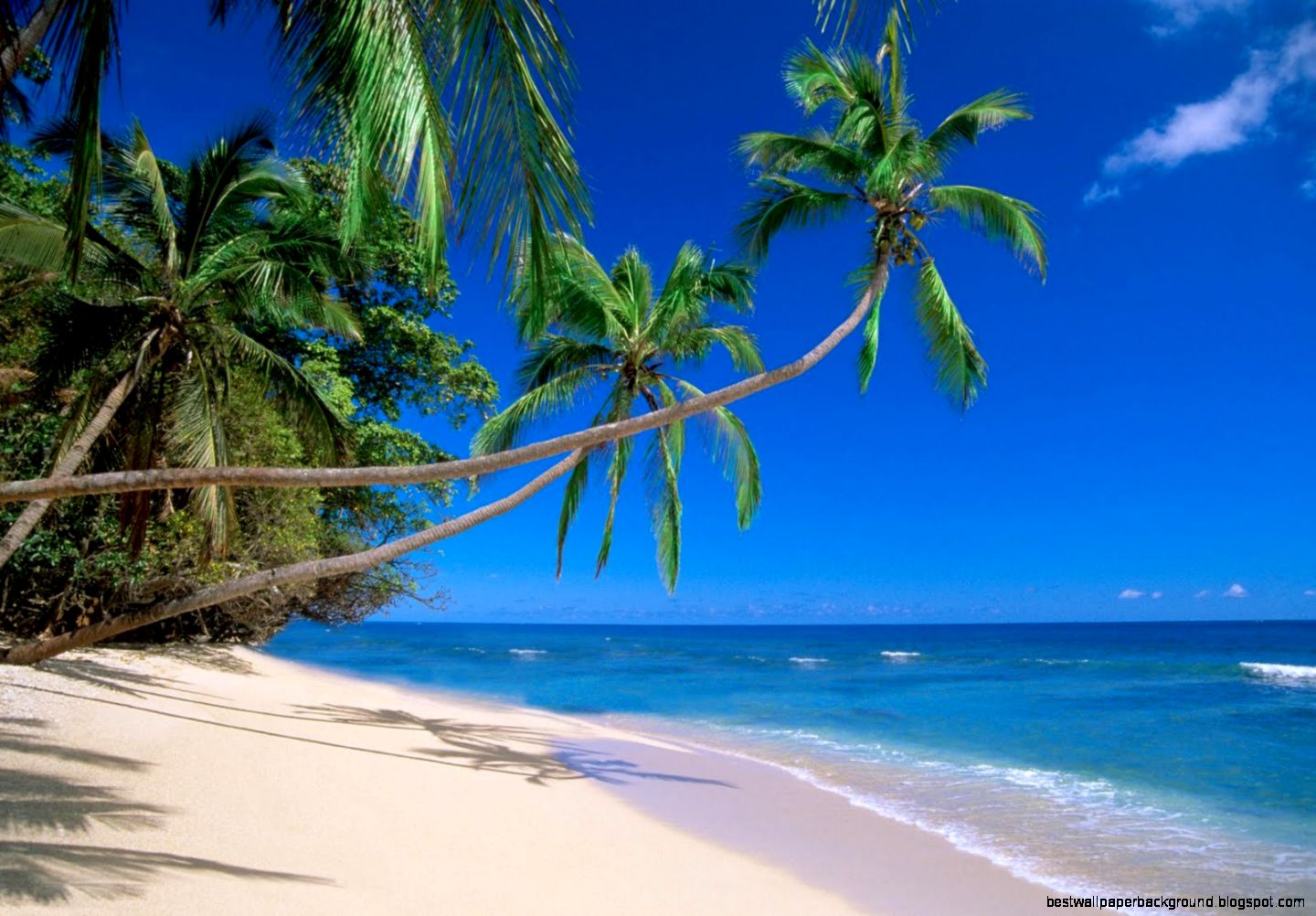 Cool ocean wallpapers part 1 Cool ocean wallpapers part 1
