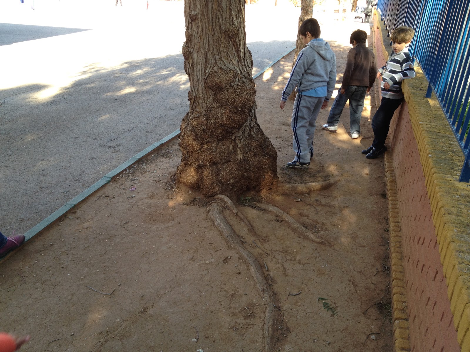 El asteroide 331: COMPETENCIAS Y PLAN AUDIOVISUAL PARA TRABAJAR LAS PLANTAS