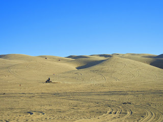 Imperial Sand Dunes Rec Area off of I-8