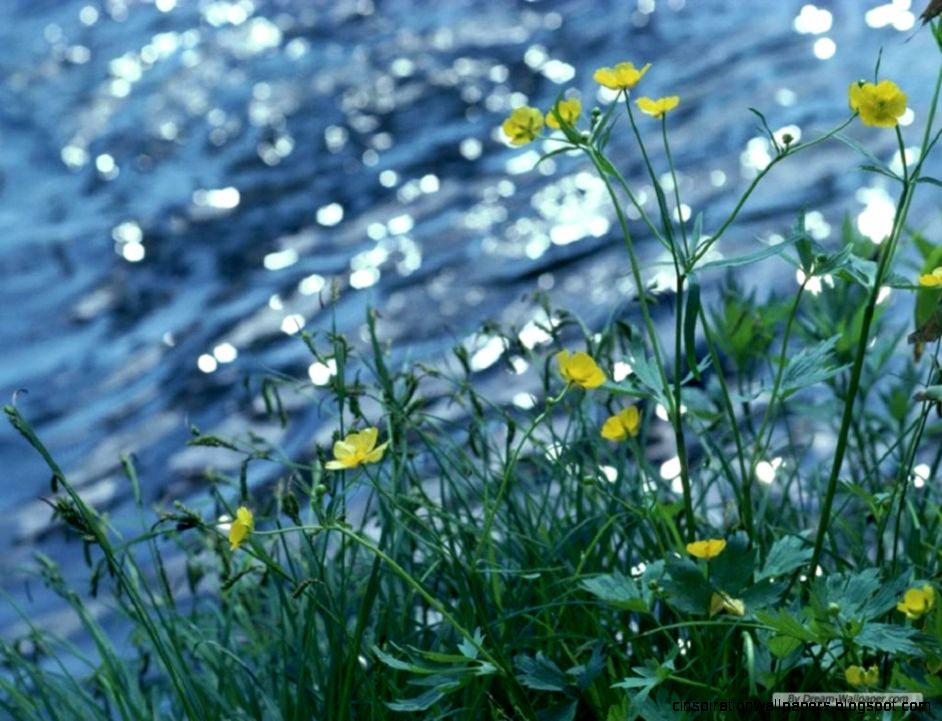 Pix For Free Early Spring Desktop Wallpaper HD Wallpapers Range Pix For Free Early Spring Desktop Wallpaper HD Wallpapers Range