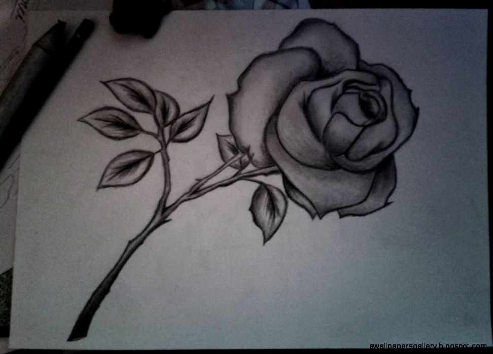 Pencil Drawings Of Flowers With Pictures Bouquet Idea Pencil Drawings Of Flowers With Pictures Bouquet Idea