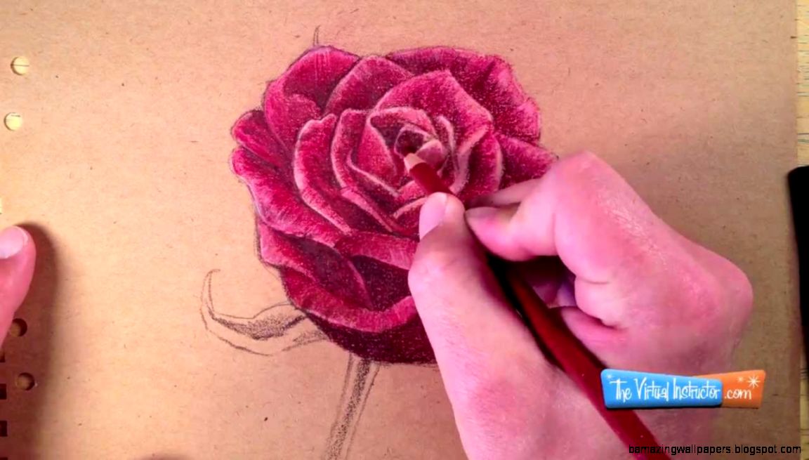 How to Draw a Rose with Colored Pencils YouTube How to Draw a Rose with Colored Pencils YouTube