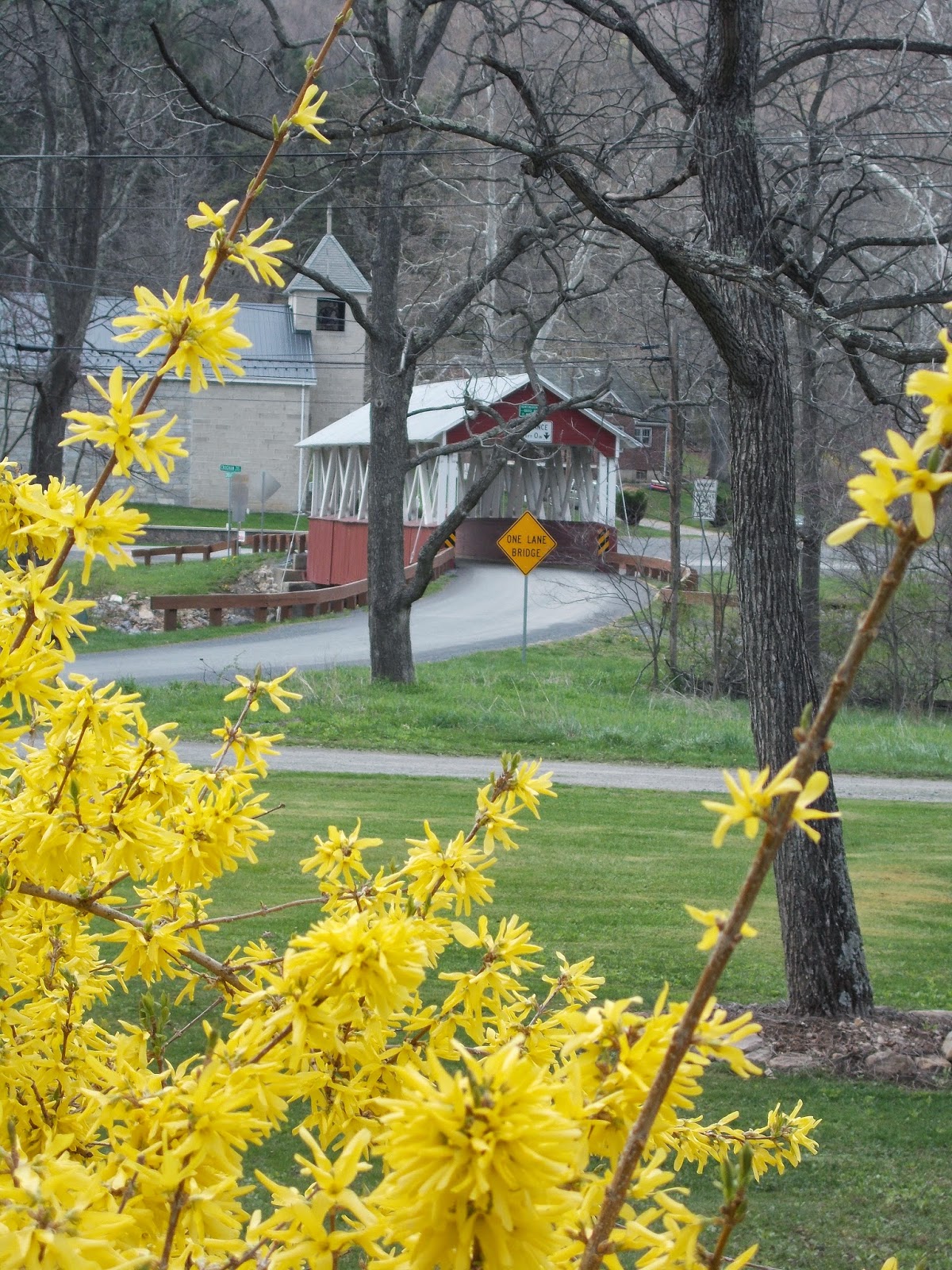 Timeworn Primitives Spring Thyme 2015, on Covered Bridge Road.