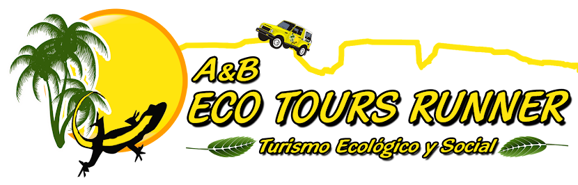 A & B ECO TOURS RUNNER