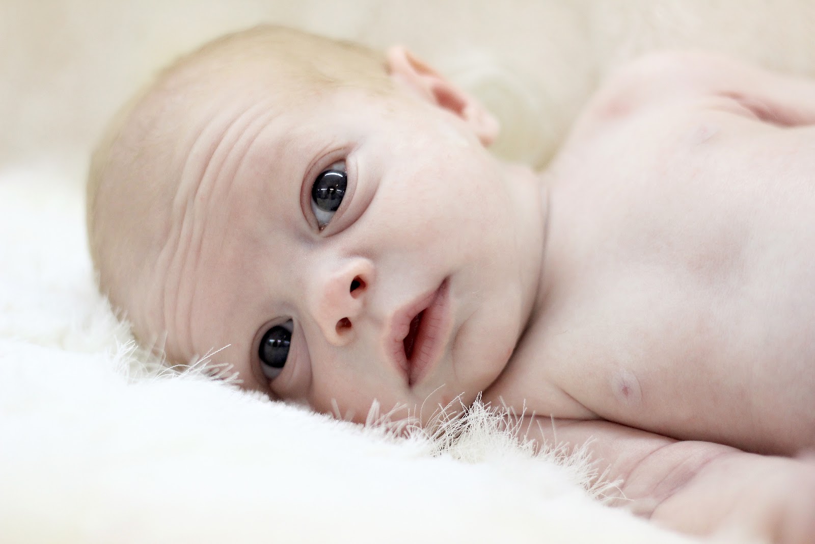 For the Love of Harper Buggy Eyes are Windows to the Soul