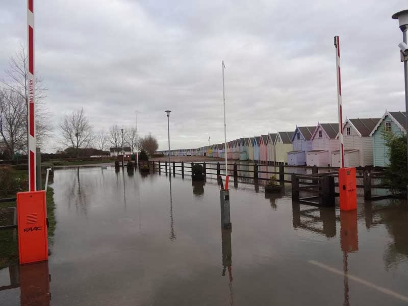 MERSEA WILDLIFE SURGE TIDE SIEGE