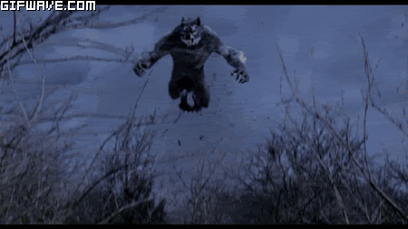 709385_wolf-wolves-werewolves-van-helsings.gif