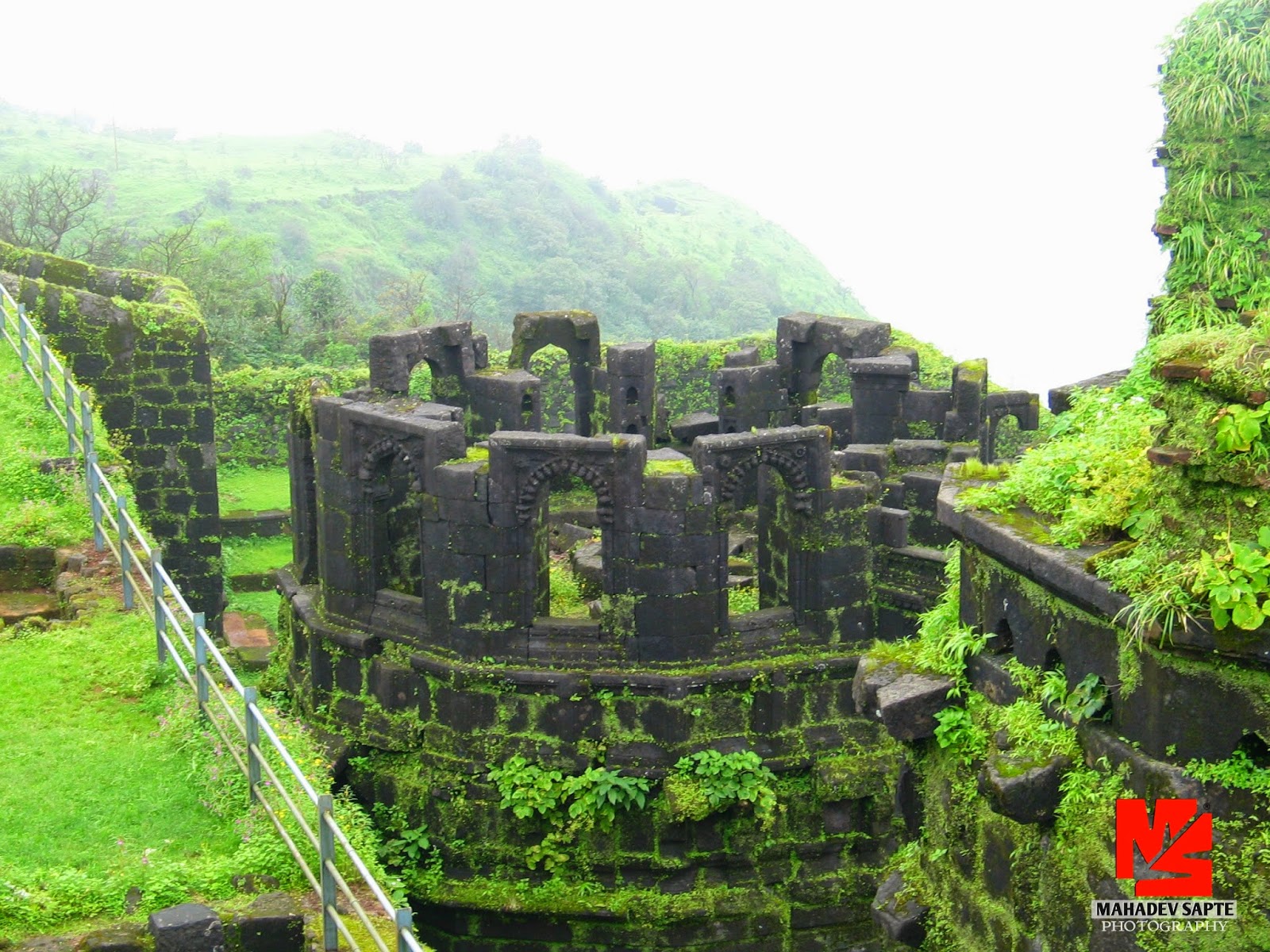 Satara Mahabaleshwar Pratapgad Thoseghar Kas Pathar & Sahyadri
