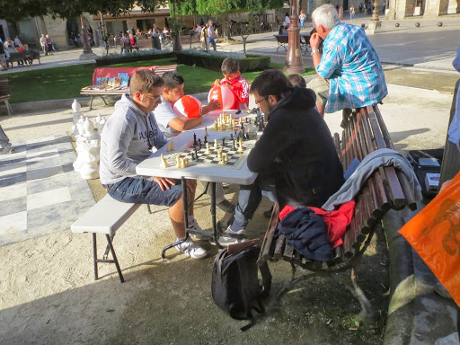 schaken