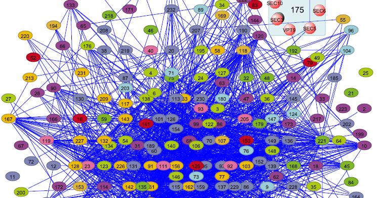 complexiteit.png