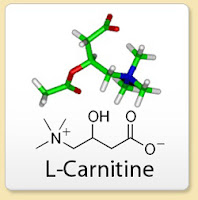 A Suplementação de L-Carnitina