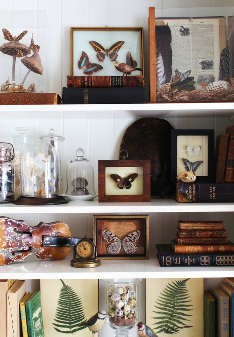 How to guide Display your coastal collections
