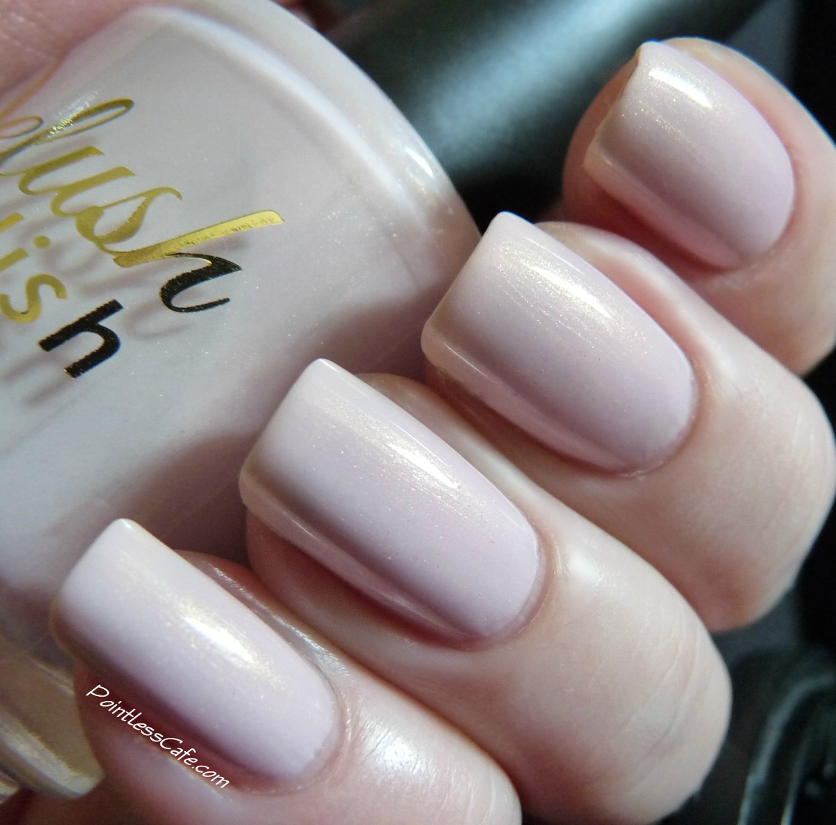 Delush Polish XO Collection Pointless Cafe