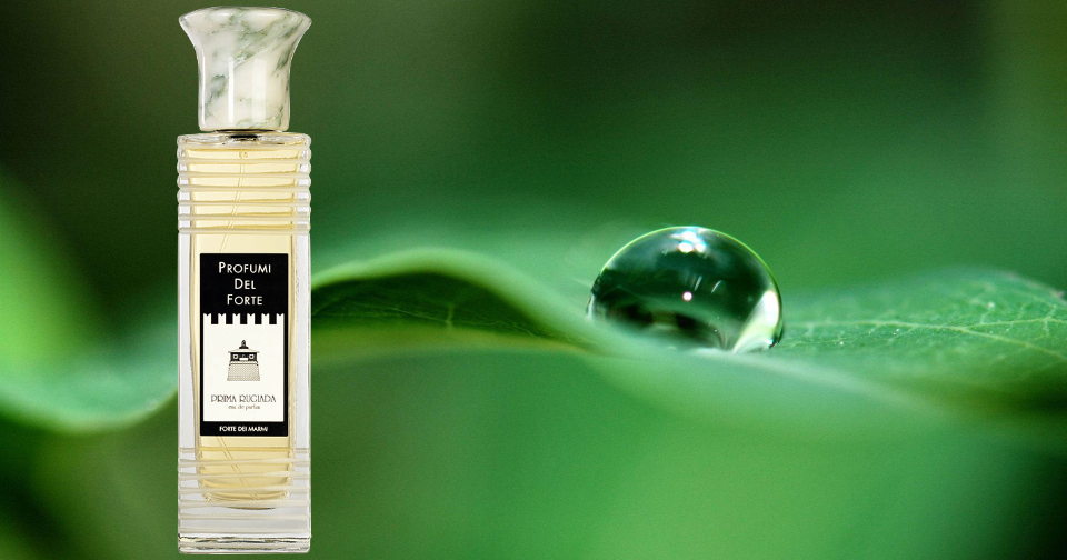 dior homme eau de parfum 100ml