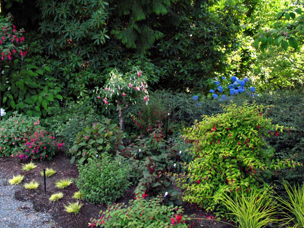 Idyll Haven Bellevue Botanical Garden