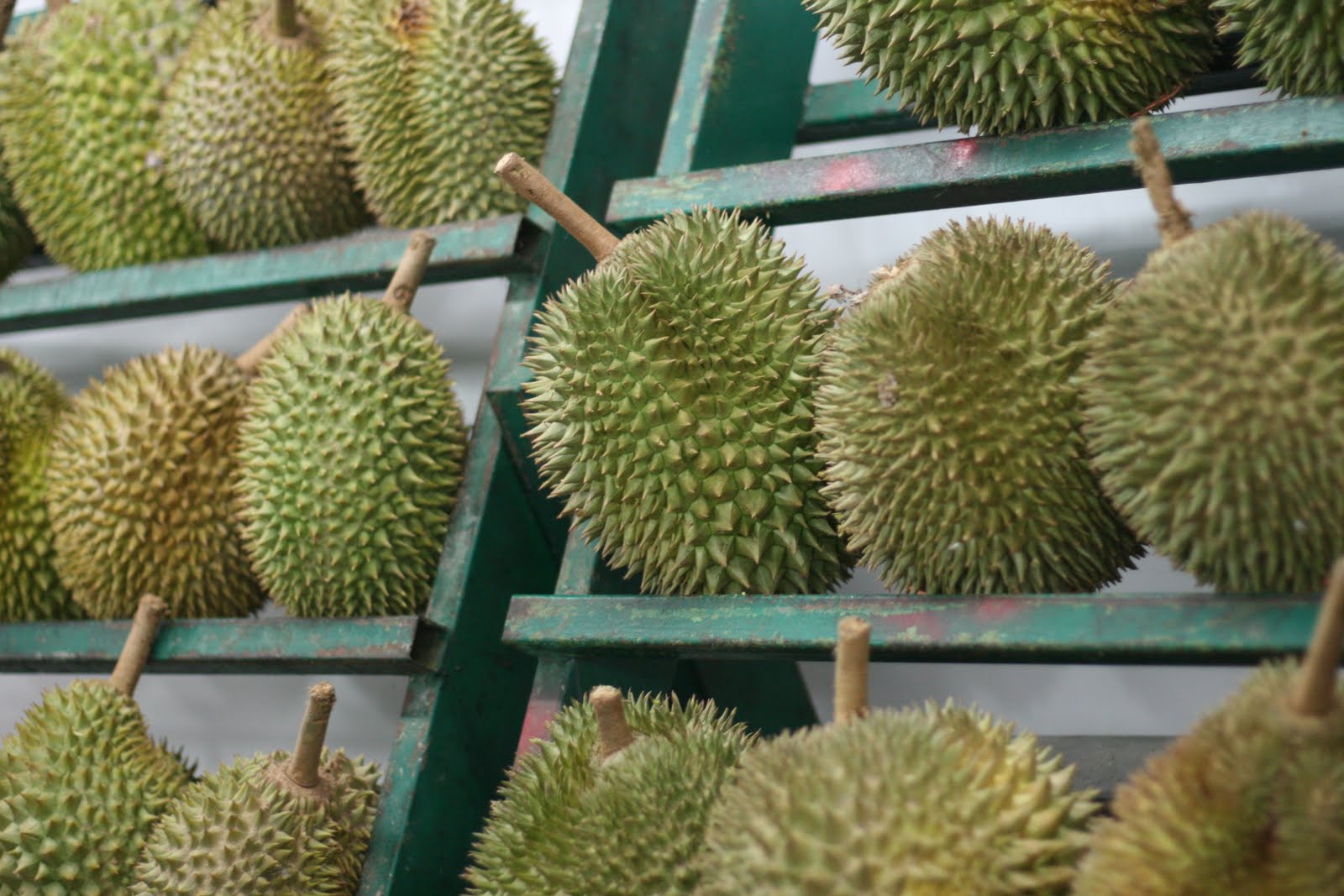 The Bok Flock: Durian - a controversial fruit for good reason :)
