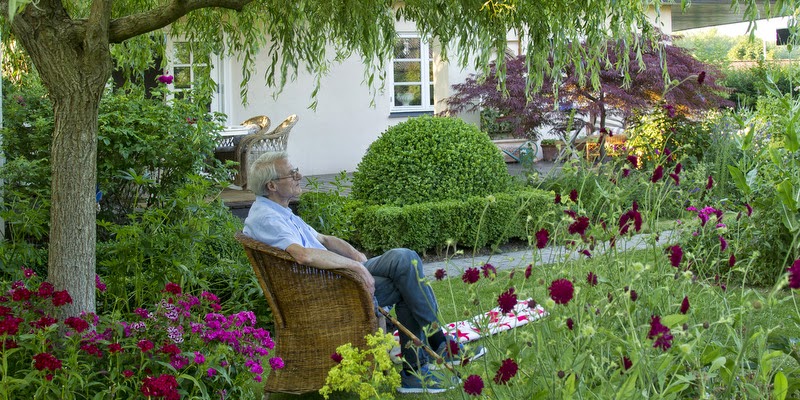 Havefolket: haveelskernes haver ny bog fra eva evigglade