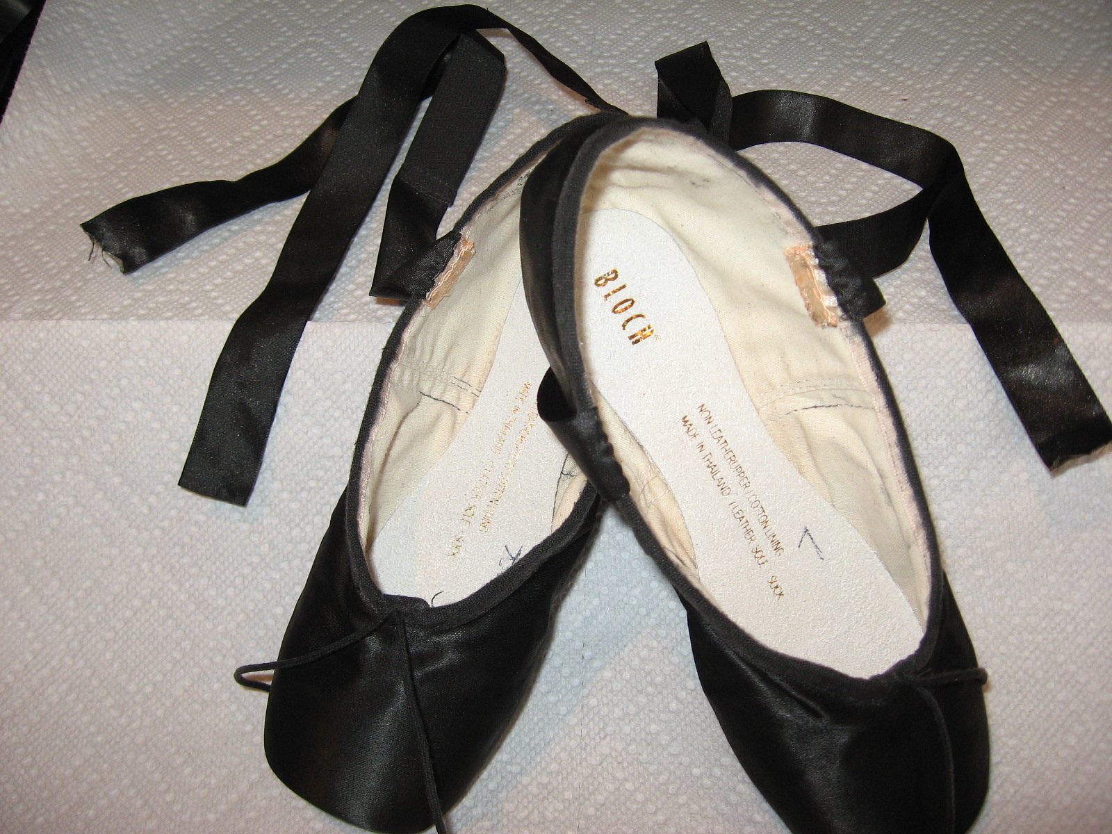 Dear Ones Healing Ministry "BARB'S DYE PROCESS FOR POINTES (BLACK