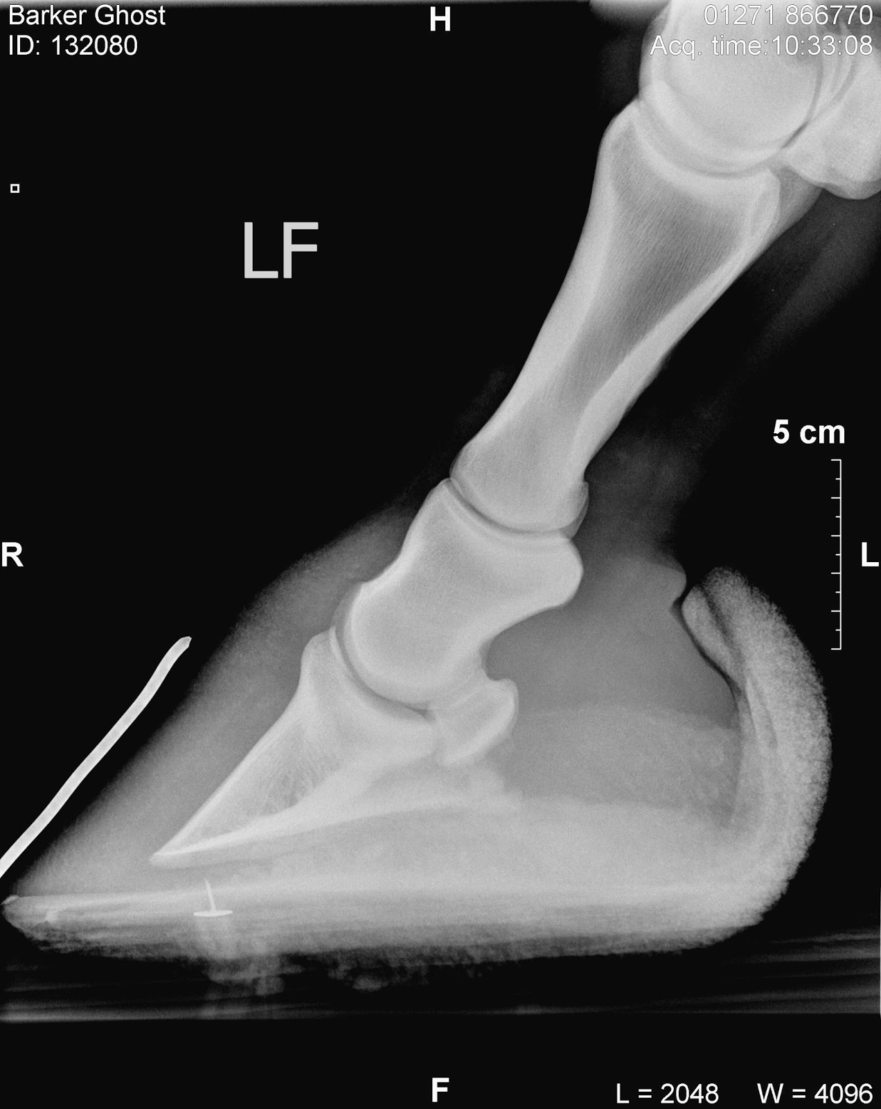 Rockley Farm MRIs, navicular and pie in the sky