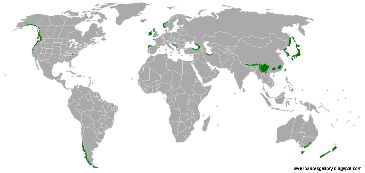 Temperate Rainforest Home Temperate Rainforest Home