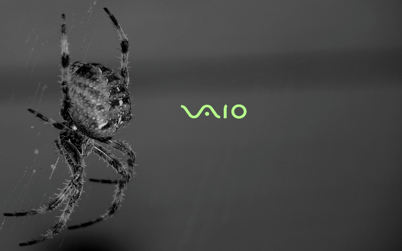 Vaio Wallpaper Sony Vaio Computers Wallpapers For Free Download