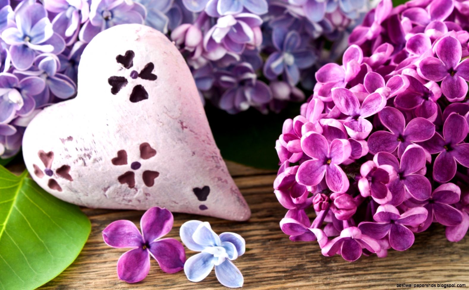 Lilac Flowers Heart 6925354 Lilac Flowers Heart 6925354