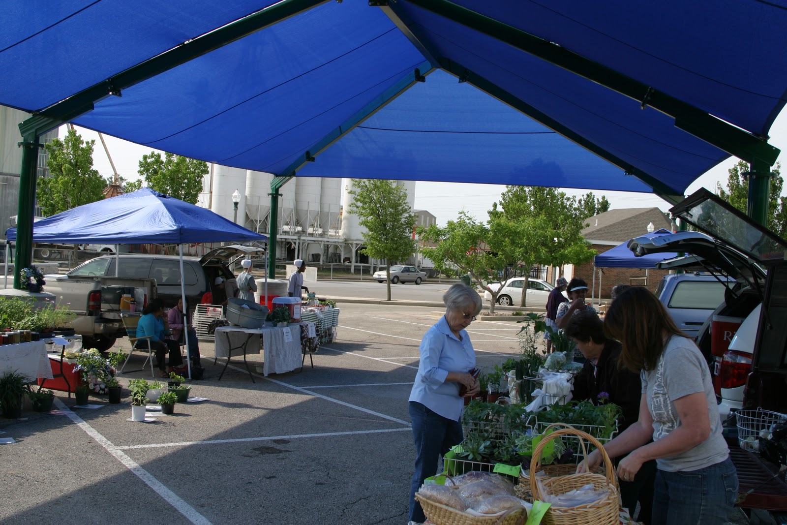 City of Rolla, Missouri City of Rolla Weekly Updates (May 21, 2012)