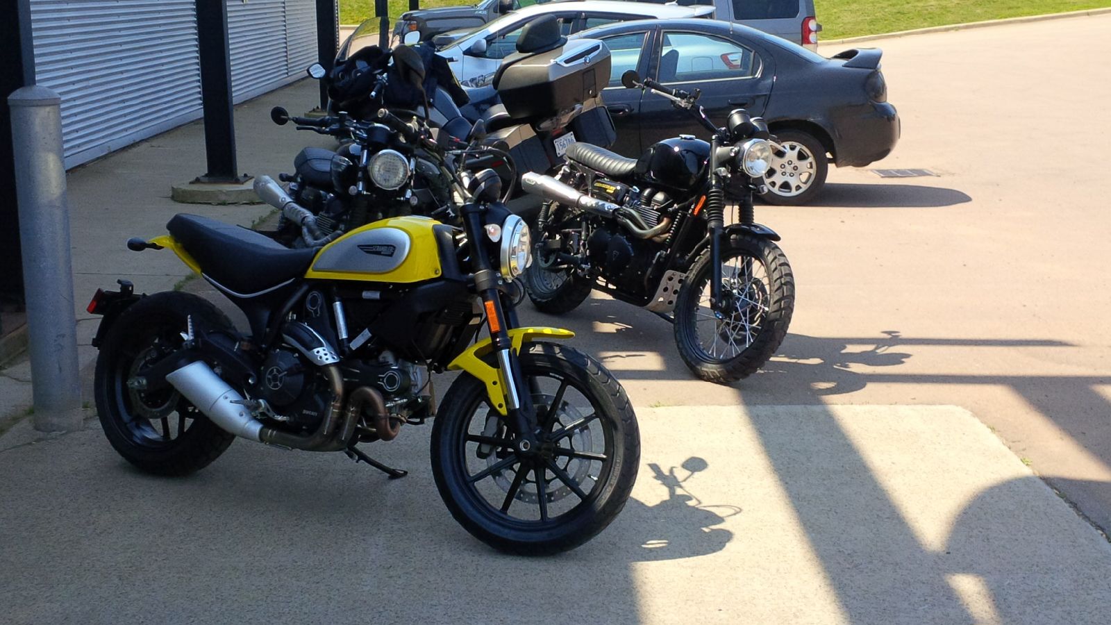 honda grom scrambler