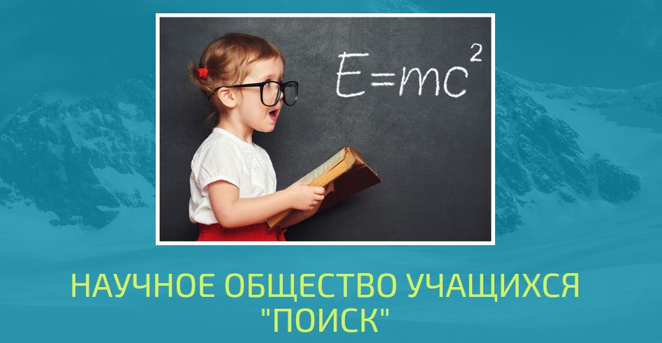 НОУ "Поиск"