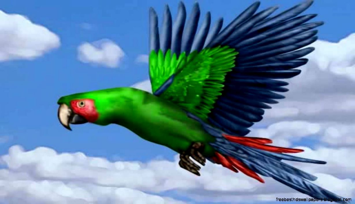 Computer Desktop Animals Computer Desktop Animals