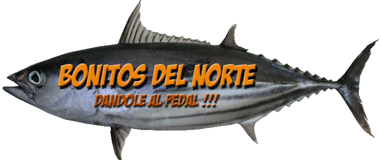 bonitos del norte