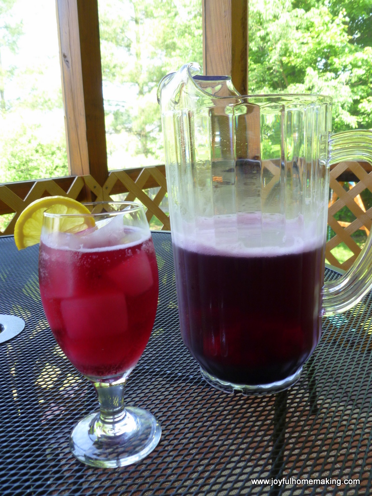 Make Your Own Sparkling Juices Joyful Homemaking