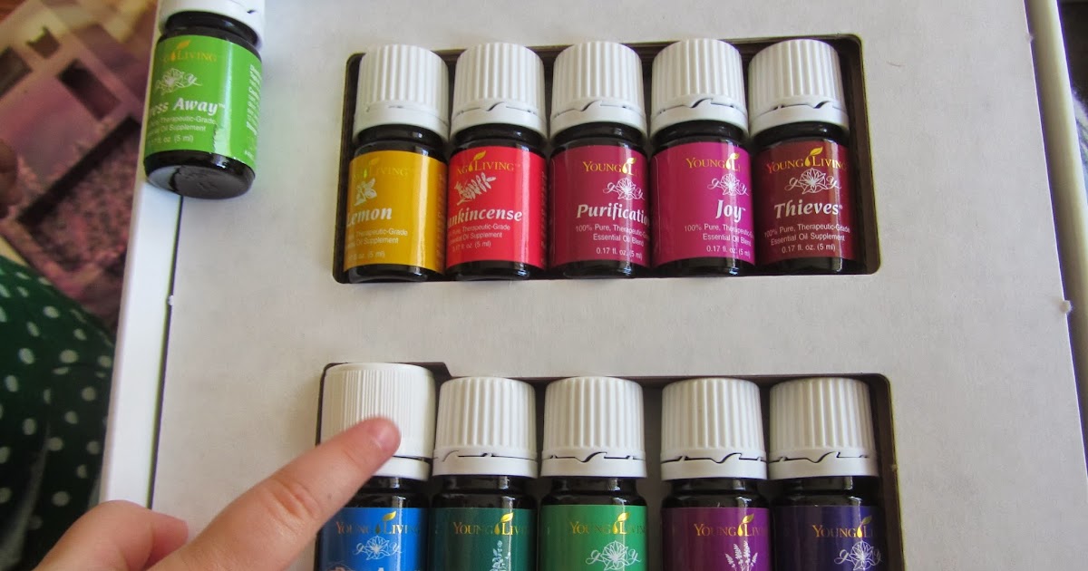 living young oils everyday essential kit starter premium myself