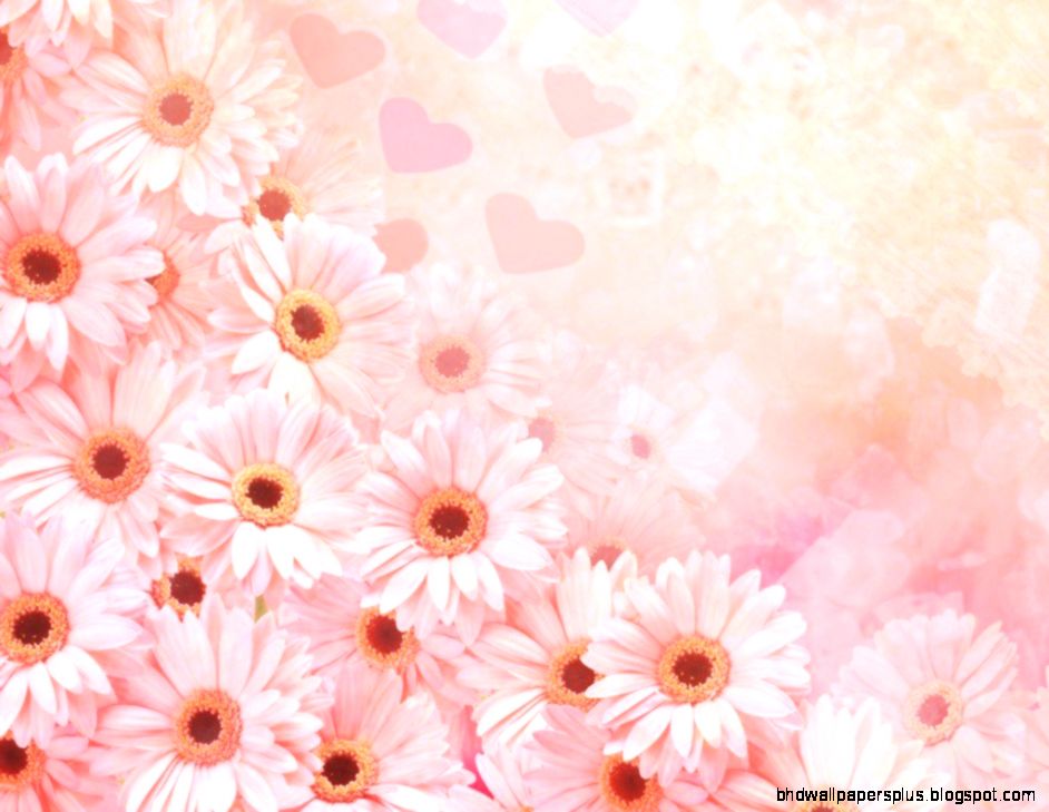 flowerstexture713 flowerstexture713