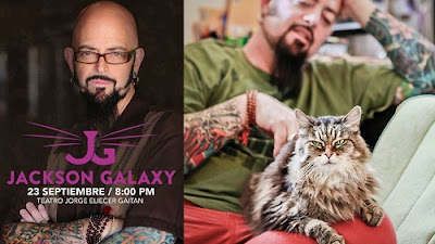 Jackson Galaxy como domesticar tu gato endemoniado