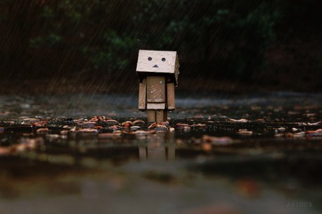 Danbo Rain on Rain   Well    It Reminds Me Of Something