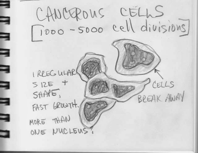cancerous cell division