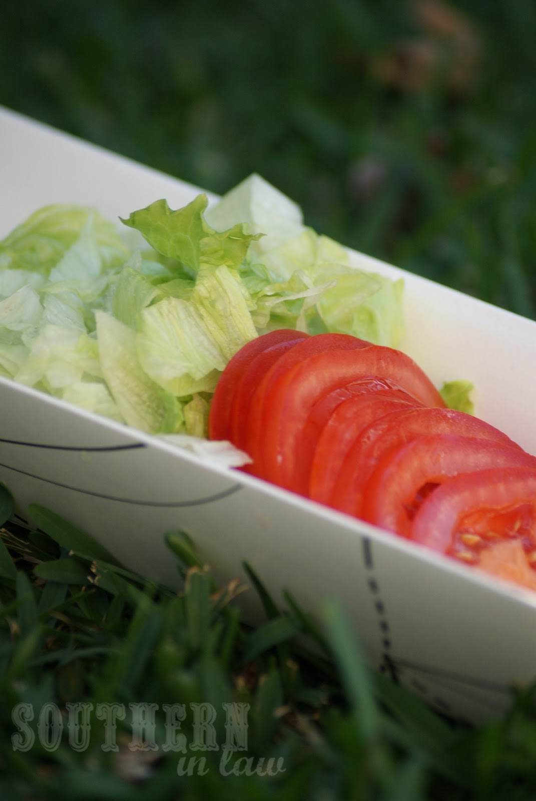 Southern In Law Planning a Picnic Party for Everyone