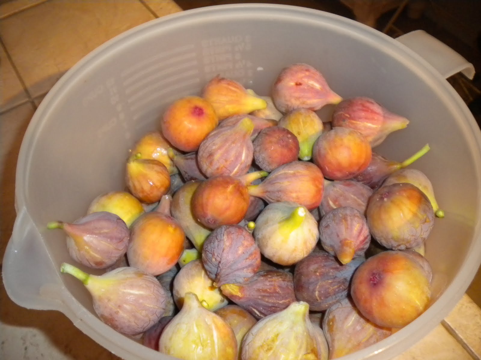 Cafe' Persia How to dry figs from your fig tree