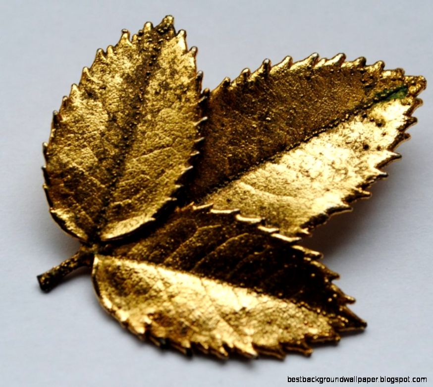 Order of the Golden Leaf Legend Larp Wiki Wikia Order of the Golden Leaf Legend Larp Wiki Wikia