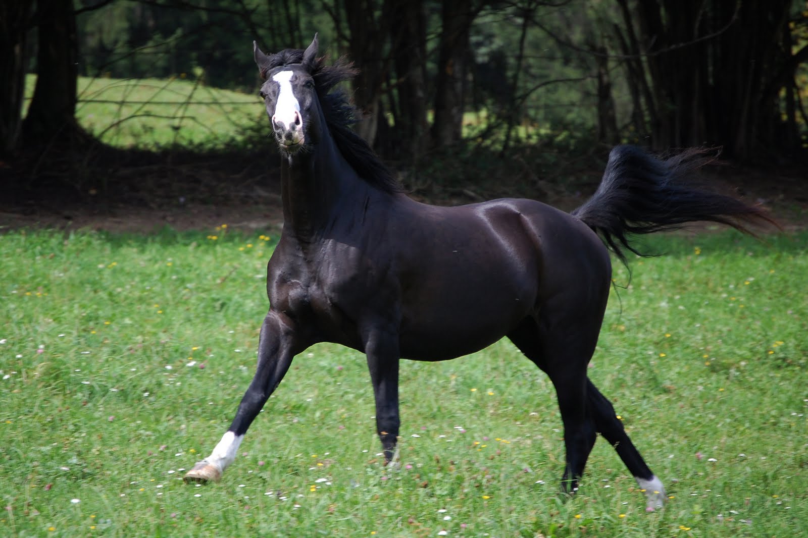 Uber Graffiti Kunst Graffiti Schrift Und Bilder