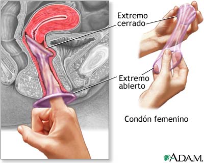 fuente sexologia net