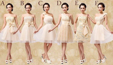 Champagne Tutu Bridesmaid Dress