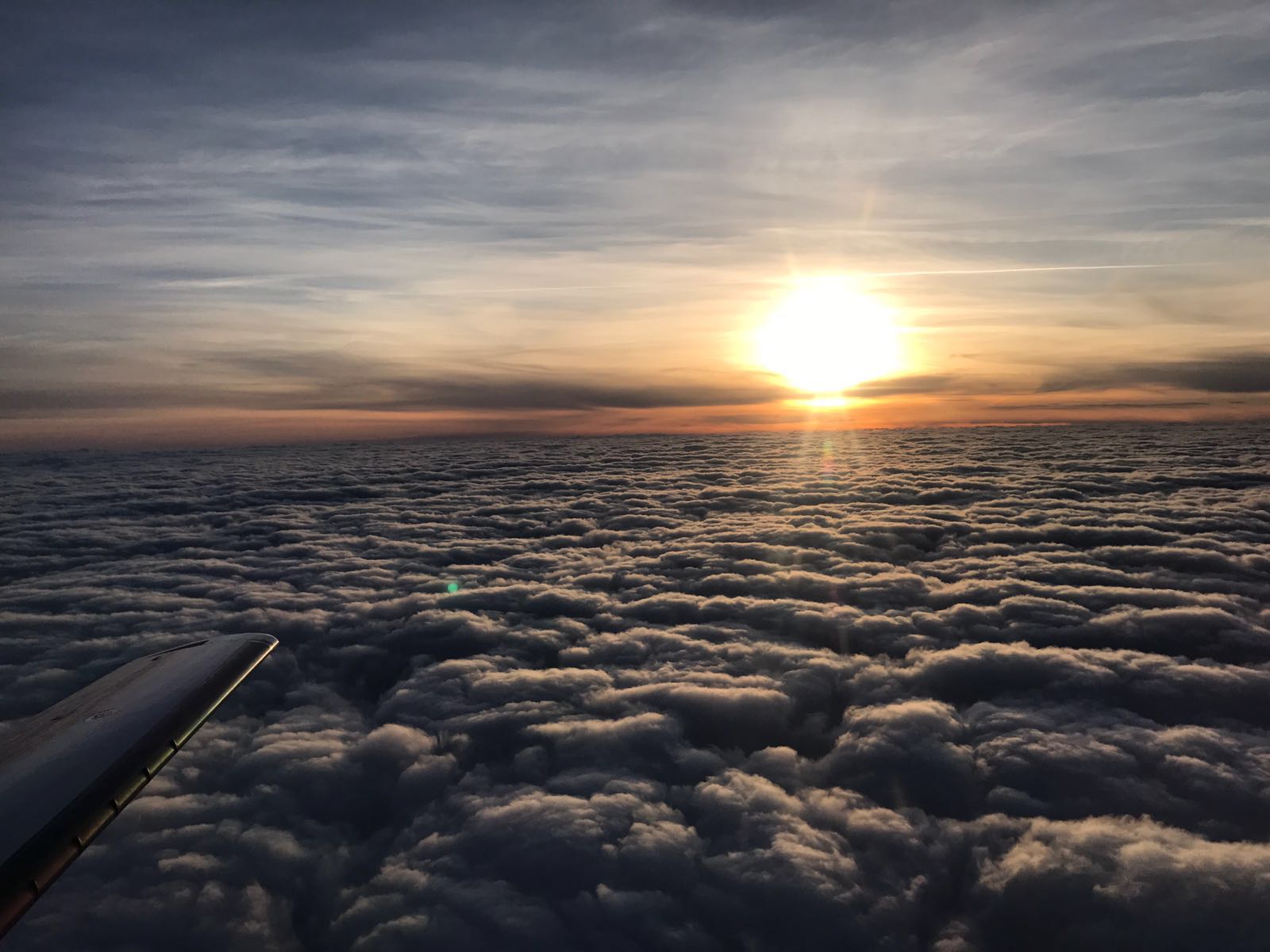 Der Sonne entgegen