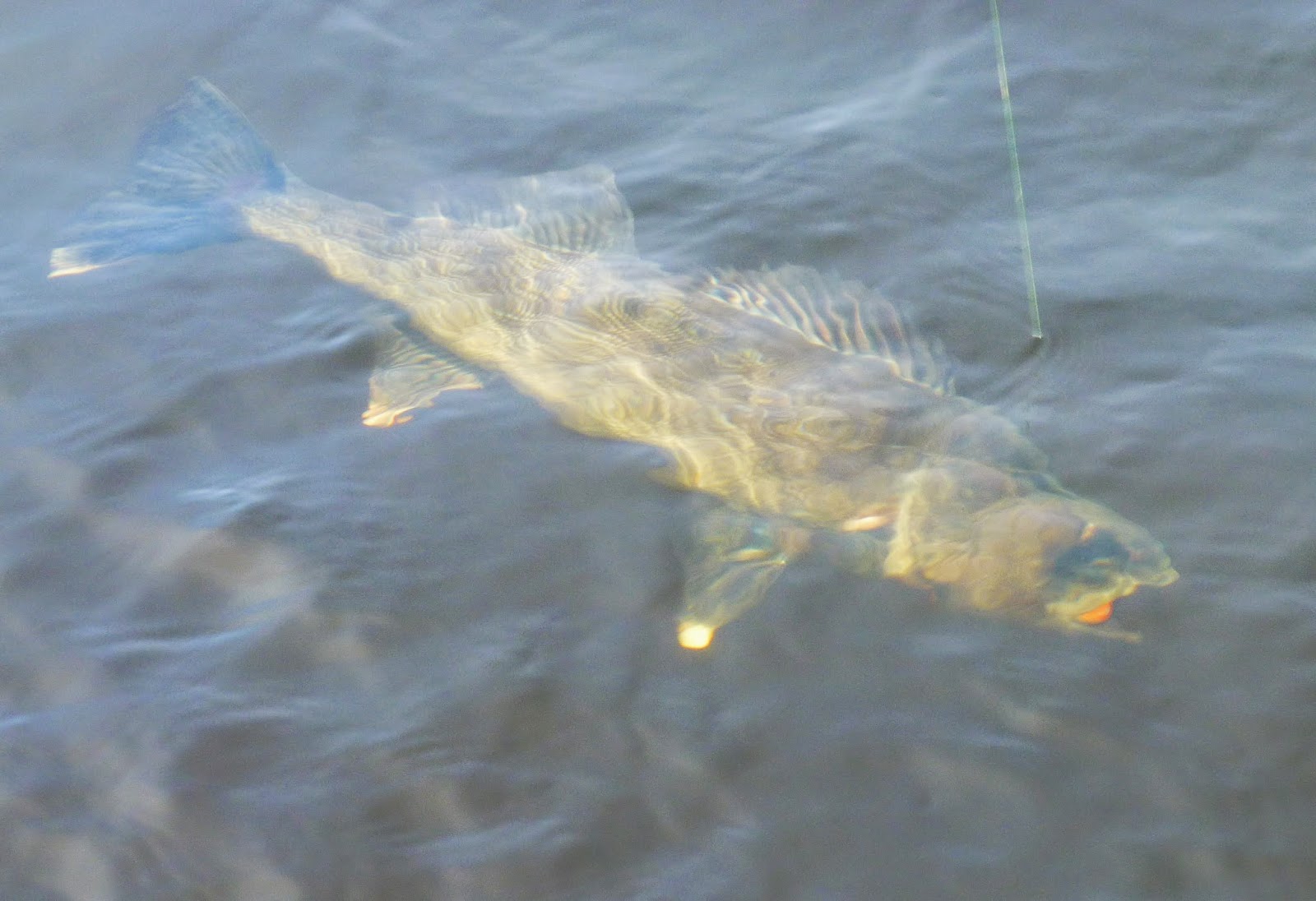 Jim and Barb's RV Adventure Sunshine and Blue Walleyes