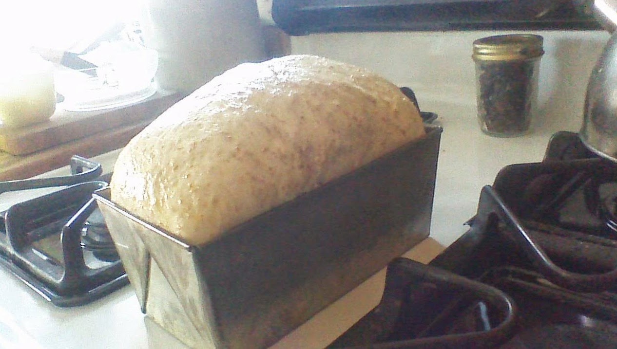Frugal Measures Liza's Machine Bread
