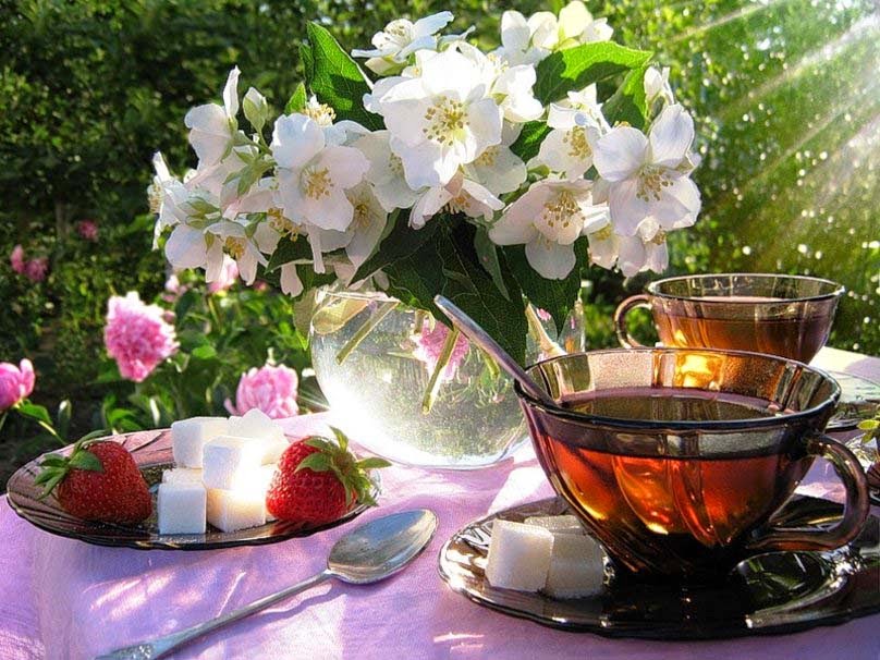 good-morning-lime-flower-and-tea.jpg