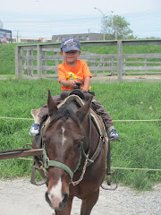 Alexandre on his first pony ride