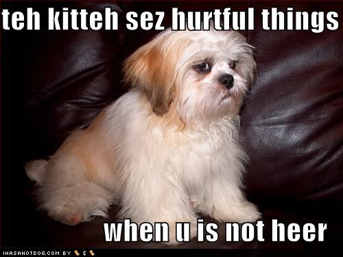 daily amazing fun funny